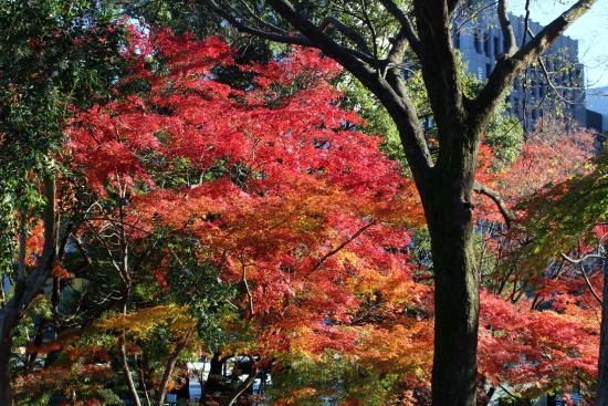 Hibiya park